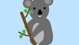 I - Colas, le garçon-koala