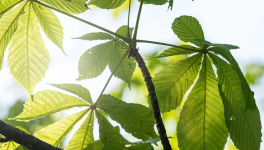 Disparaître pour oublier