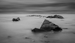 Tous mes bons voeux à l'humanité !