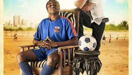 Les Rayures du Zèbre