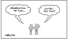 Génération tok tok?