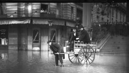 14 Evolución genética