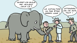 Et si les éléphants attrapent la Covid !