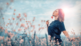 Il est où le bonheur, Il est où ?