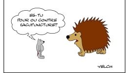 Le rat qui faisait un sondage sur l'acupuncture