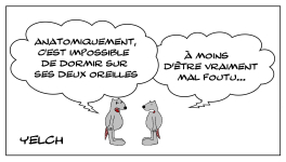 Le rat qui se plaignait de ne pas pouvoir dormir sur ses deux oreilles