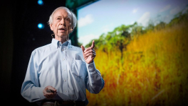 L'élevage sauverait le climat ? Management holistique, ou comment l'élevage pourrait inverser le changement climatique