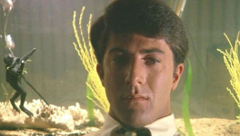 Le Lauréat (The Graduate, Mike Nichols, 1967)