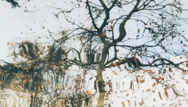 Photo-poème : L'impermanence