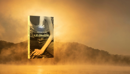 "Les dragons" de Jérome Colin