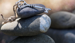 La quête de bonheur 