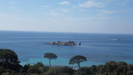 Entre terre et mer : une île de toute beauté 