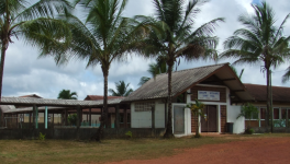 Réflexion sur les territoires hostiles à la planification: le syndrome amazonien?"Aménagement et démographie de l'Amazonie franco-brésilienne" - Fanny Azan-Brulhet - 2018