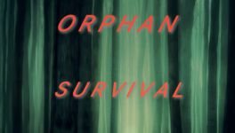 Chapitre 24 - Solidarité