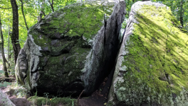 La fissure
