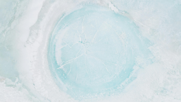 La morsure de la froideur