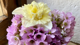 Le bouquet du Dimanche 6 Mars