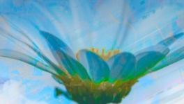 Ma nouvelle philosophie sur mes échecs