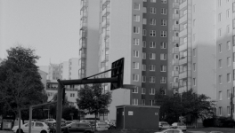 Panel álmok