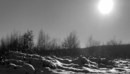 La Fable du manchot.