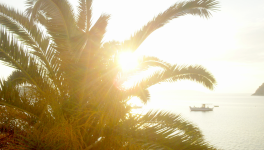 Symbolique du papillon (5) Gourmandise contrastée