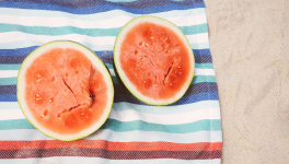 La PAL du mois d'Août 2024