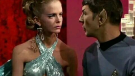 L'interface de traduction universelle présente un bug majeur