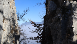 Sports extrêmes : Les biographies d’Uli Emanuele et de Hannes Arch