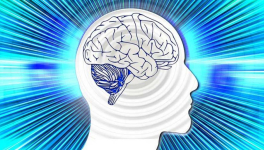 Tout cerveau lent doit faire appel à plusieurs ficelles pour être dirigé avec humour !