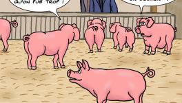 Covid-19 : pas de Salon de l'agriculture !