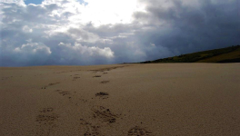 Faire la queue dans une grande surface avec Souchon