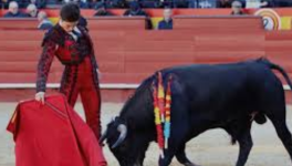 Toréro