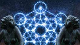 A la découverte d'un autre monde