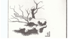 Anecdote météo, neige fin avril 1765 à Carcassonne