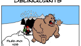 Stages de skis dangereux pour la faune locale