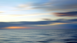 Mini expo photo 5 : Mes crises de mer