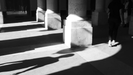 Anna's Visit, From Avignon To Kyiv And Back