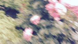 Entre cœur et corps – des capsules qui murmurent à l’oreille