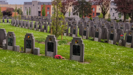 Là où les rangs se taisent