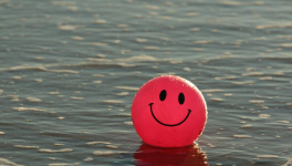 Jour 9  - 01/12/2018