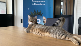 Offre de Stage ✍🏻 Community Management and Digital Event 🏆