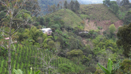 Une (Contre) Histoire du Café