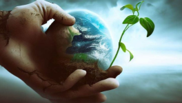 Douloureuse transition