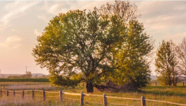 La Terre s’offre un printemps.