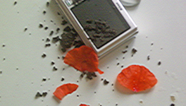 Meurtre à Santo Antao