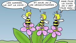 SOS, abeilles en danger !