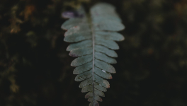  Chapitre 1 La lettre de l'huissier de justice