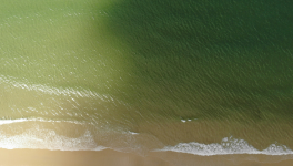 Les sociétés liquides seraient-elles en voie de liquidation ?