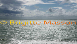 La plage du Havre est déconfinée