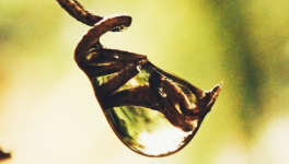 #ConfidencesDAutrice : Fais vriller